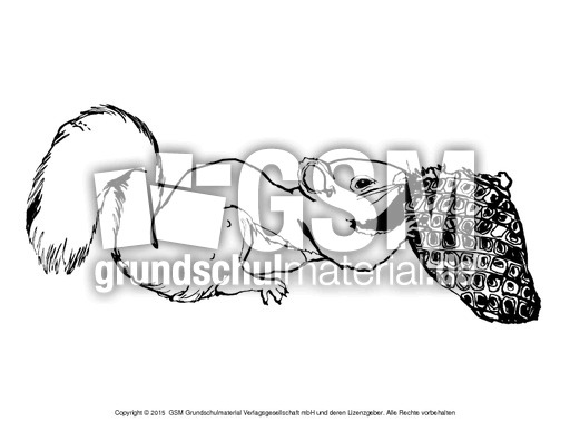 Ausmalbild-Eichhörnchen-B 12.pdf